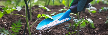 Méthodes naturelles pour enrichir la terre du jardin